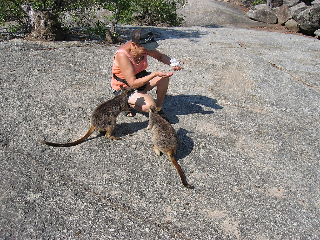 CairnsTC112 Granite Gorge.jpg